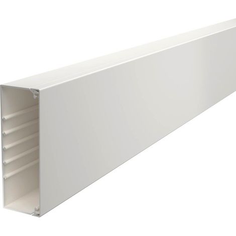 OBO Bettermann Canale a parete e a soffitto con foratura a pavimento 60x170x2000 Polivinilcloruro bianco puro RAL 9010, 6191258
