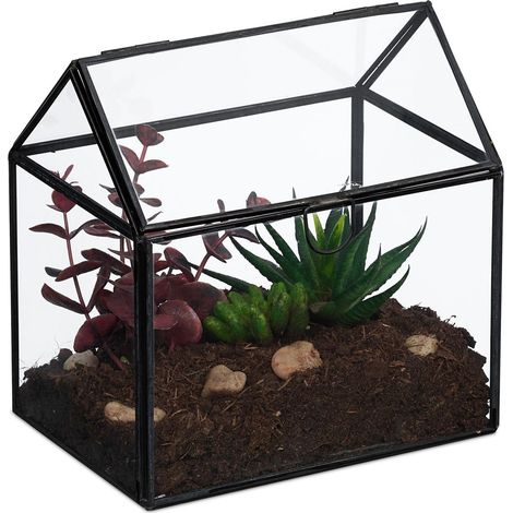 Terrario de vidrio para plantas con forma de casa tamano compacto (1/5)
