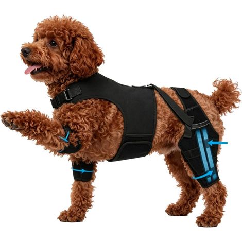 Manchons De Récupération pour Chien Bandages De Soutien Stabilité Orthèse De Soutien Jarret Canin Pour Petites Moyennes Et Grandes Races Promenade Camping (1/5)