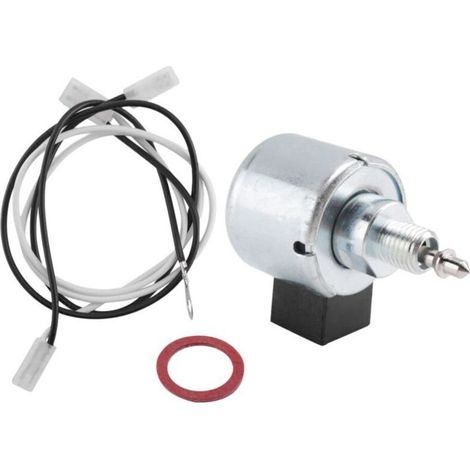 Solenoïde de Coupure de Carburant Carburateur Pièce de Rechange 694393 (1/4)