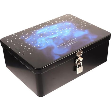 Boîte De Rangement Cadenassable En Filet Organisateur De Bijoux Avec Verrouillage Étui Métallique À Couvercle 6.89 X 5.12 X 2.95 in Pour Boucles D’Oreilles Colliers Pièces Cadeaux (1/5)