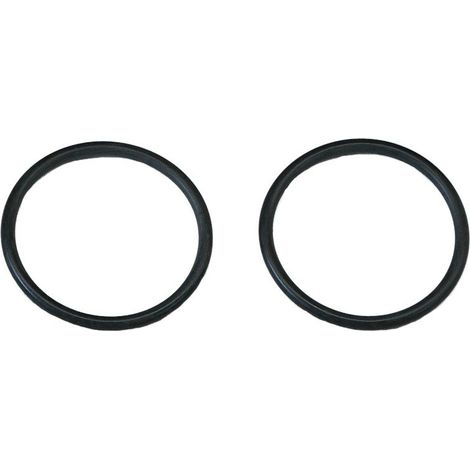 Grünbeck - Serie di guarnizioni per filtri Boxer, FS-B 1", con o-ring 1 1/4", 2 pezzi