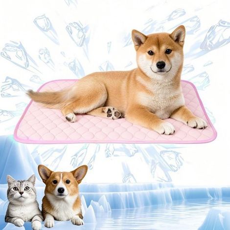 Kühlmatte für Hunde – 100 x 75 cm – XL – Selbstkühlende Matte für Katzen und Hunde – Kühlmatte für Haustiere – Schlafzubehör für Haustiere – Sommer – Waschbare Matte (1/5)