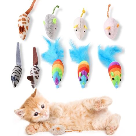 Catnip Sticks, Cat Chew Sticks for Cats, Dried Catnip for Cats to Play, Chew, Remove Tartar and Bad Breath (6-8 mm) (1/5)