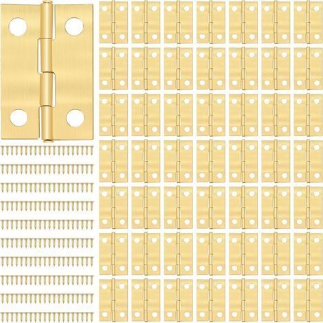 Petites Charnières Mini Charnière avec 200pcs Vis Charnière Miniature pour DIY Boîte Modèle Jouet Ouvrages D'art Artisanat 24 16mm Doré 50 Pièces-Chrom (1/5)