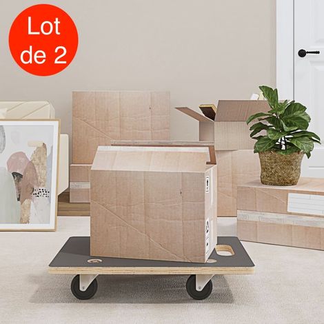 2 Chariots Manutention sur roulettes, 60 cm Charge Maximale De 250 kg Avec Roulettes (1/5)