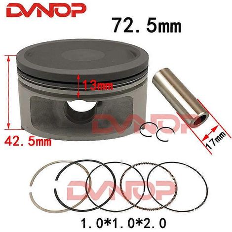 72,5 mm Kolbenringdichtungssatz passend für 300 cm³ Motor Jinling JLA-931E Feishen Buyang FA-D300 H300 YP300 LINHAI LH300 LH173MN (Kolben und Ringe)