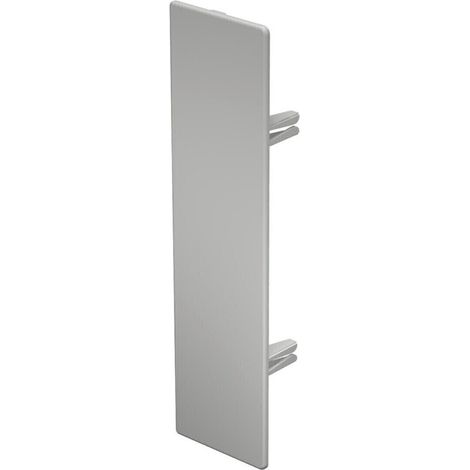 OBO Bettermann Endstück WDK HE60230RW (1/3)
