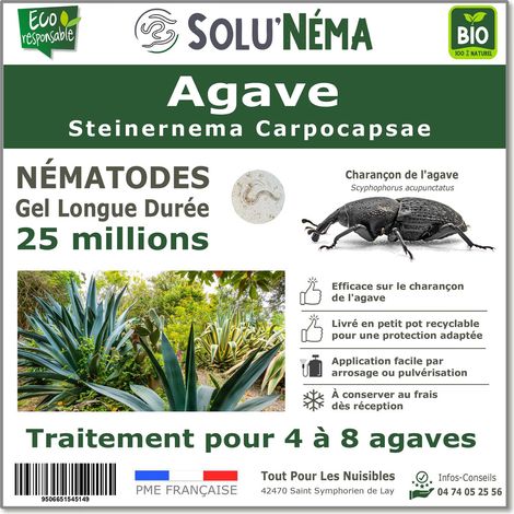 Nématodes Contre le Charançon de l'Agave-25 millions