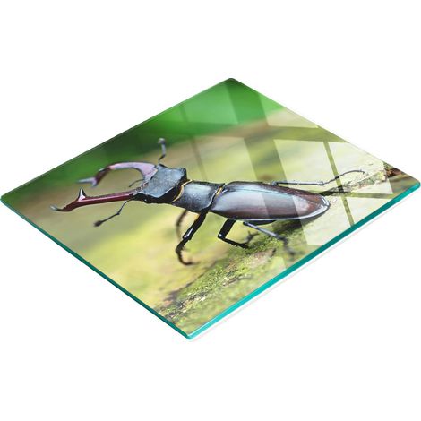 Pannello decorativo multifunzionale da cucina in vetro temperato a forma di scarabeo, 60x52 cm. (1/5)