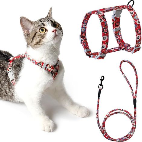 Cat Leash Harness (S, Red) Adjustable 145 cm Rope Lead for Kitten Cat Adult (1/3)