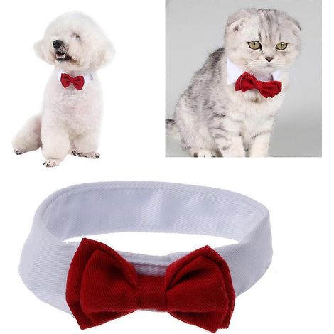 Collier Princesse pour Chats, Nœud Papillon Doux et Élégant pour Chatons, Collier avec Nœud Papillon Multicolore - Taille S (1/4)