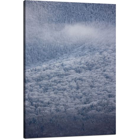 Leinwanddruck Natur Wald im Schnee 80x120 cm