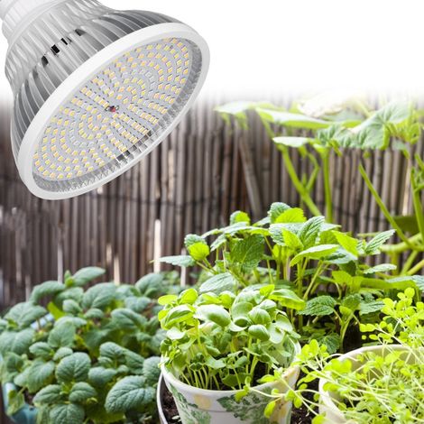 E27 22W LED-Lampe – Vollspektrum-Pflanzenlampe – 200 SMD2835 LEDs – Aluminium – Für Garten & Gewächshaus (1/5)