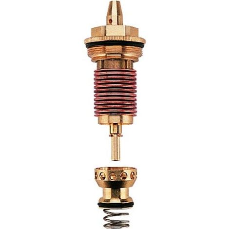 Elément thermostatique 3/4″ (G47019000)