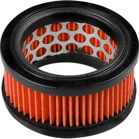 Filtro aria CS440, CS450, CS510, CS520, CS530, CS4400