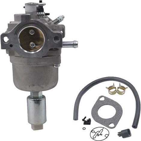 Carburateur pour Moteurs Briggs & Stratton 287707 287776 287777 310707 310777 698620 690194 791886 799727 496796 499153 695412 792768 Remplacement du carburateur (1/4)