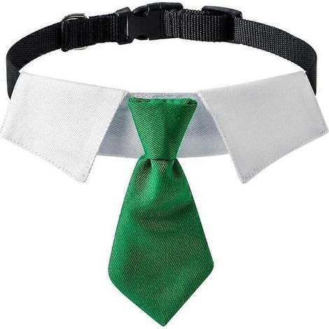 Collier pour chat avec nœud papillon, costume de mariage pour chat et petit chien moyen, vert taille S.