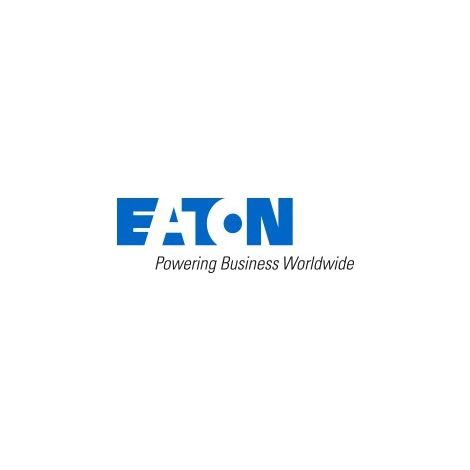 2 cables dentrée 16A prise française pour ATS CBLATSIN16X2 EATON CBLATSIN16X2