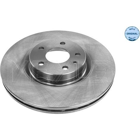 Lot de 2 Disques de frein Meyle 215 521 0006 ALFA ROMEO 05 69 086 164102202300