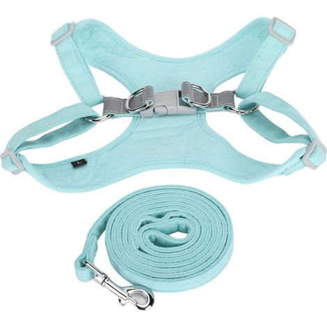 Jeffergarden Kit harnais et laisse pour petit chien - Sans étranglement, réfléchissant, ajustable et confortable - Taille XXS - Vert menthe (1/5)