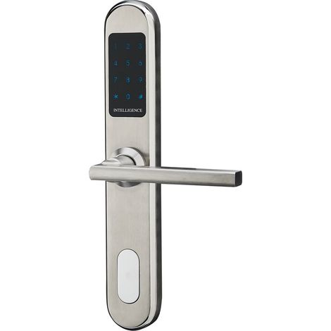 Serrure de porte numérique intelligente (Hfs5300) - En acier inoxydable 304 (1/5)
