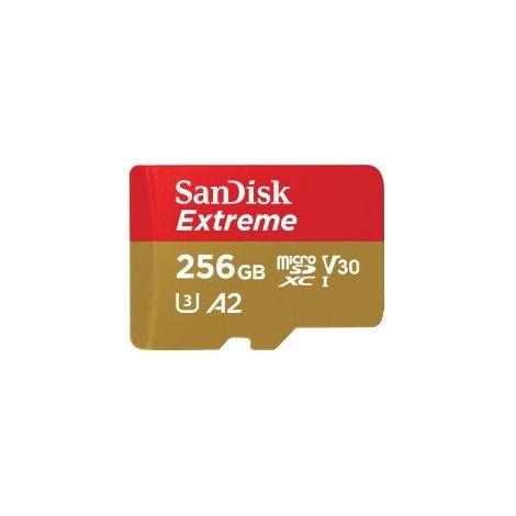SANDISK Carte MicroSD Extreme 256 Go