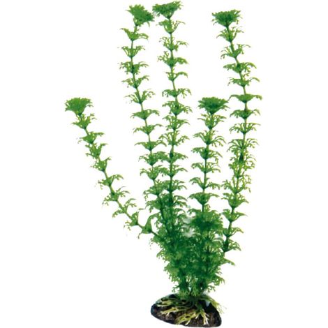 Altezza 23 cm: Decorazione piantina Cabomba Amtra in plastica per acquari