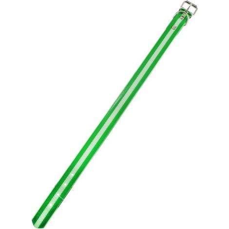 COLLAR BIOTHANE BANDERA ANDALUCIA 40CM (1/2)