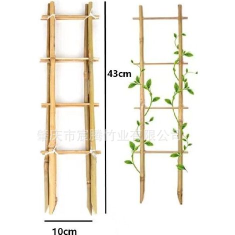 Lot de 6 - Treillis En Bambou De 43 cm De Haut En Forme d'Échelle Pour Plantes Grimpantes - Plantes d'Intérieur - Pots, Vignes, Légumes - Fruits 6 (1/5)