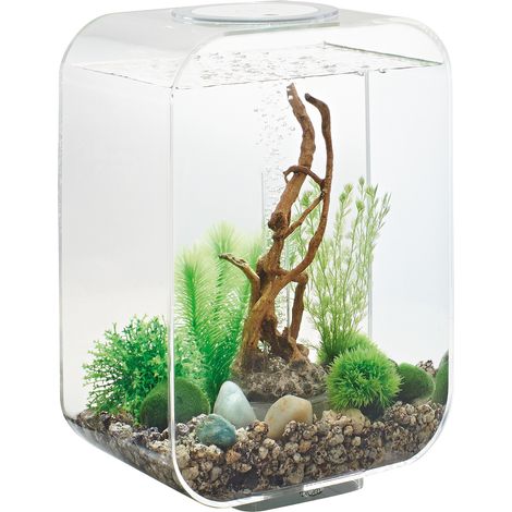 15-liter-aquarium mit transparenter led-beleuchtung - Oase - LIFE 15 LED TRANSPARENT (1/5)