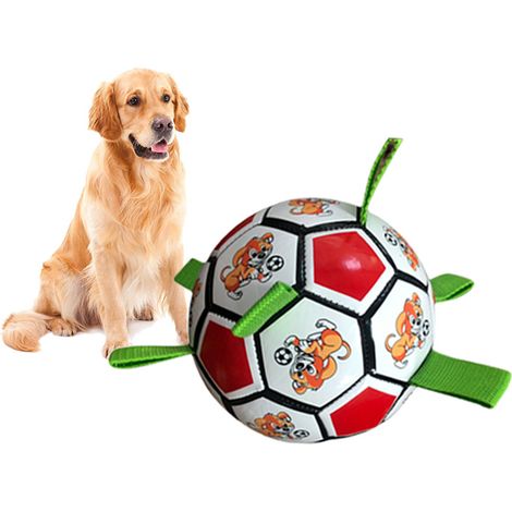 jouet de football pour morsure de chien