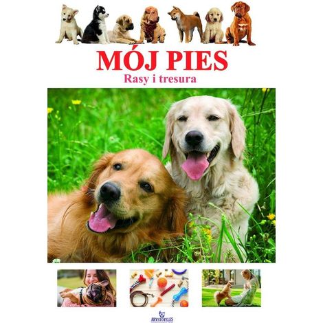 Il mio cane: razze e addestramento