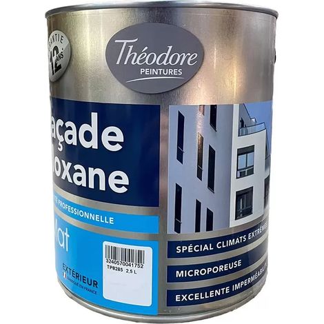 Peinture façade siloxane Théodore Blanc 2,5 L