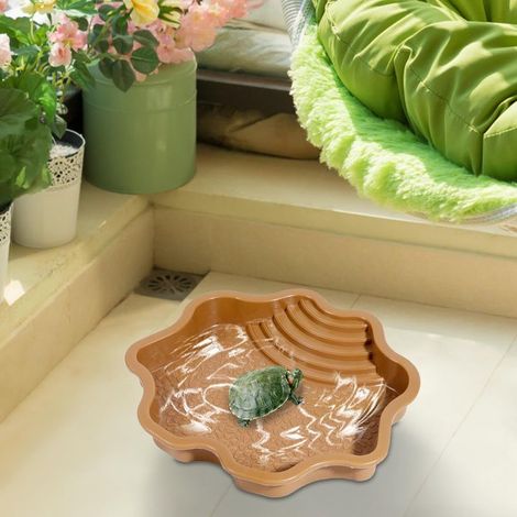 Babybadewanne – Wasserschale mit Verstärker für Eidechsen und Krabbeltiere – Babybecken (1/5)
