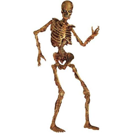 Imitation Squelette Grandeur Nature, Squelette pour Decoration Halloween avec Articulations Mobiles pour effrayer (1/5)