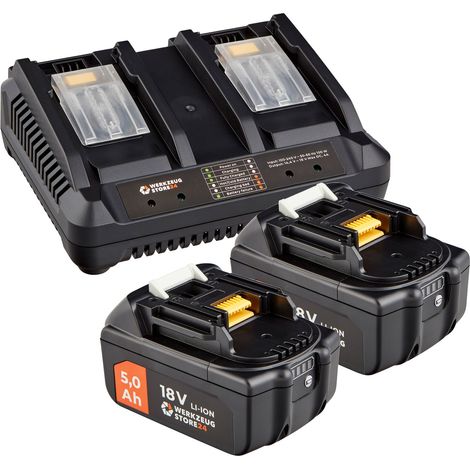 WS24 Akku Starter-Set 18 V / 2x 5,0 Ah Akku + Doppelschnellladegerät