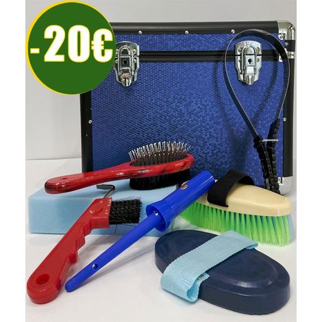 Silver (Baule) - Set grooming RISPARMIO 20 Euro. 8 pezzi bauletto grande più accessori per la pulizia del cavallo (1/5)