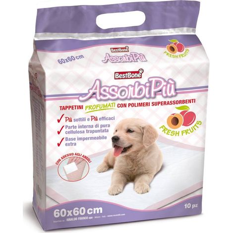 10 tampons absorbants Absorbiù fruits frais avec coins adhésifs 60x60cm pour chiens