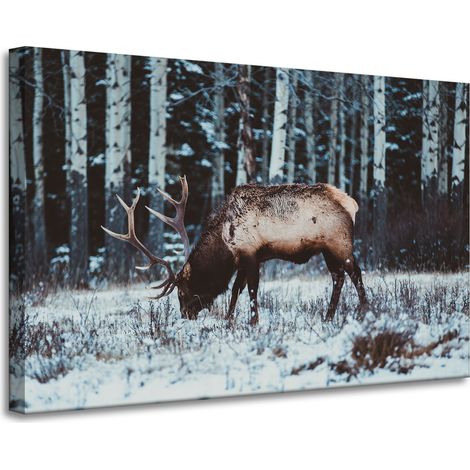 Leinwanddruck Tiere Kanadischer Hirsch 90x60