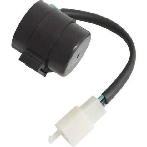 Centrale clignotante P2R Scooter Chinois 50 GY6 3 fils Neuf