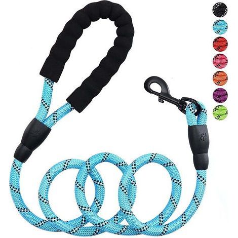 Longe pour Chien, 3m（1.2cm）Laisse de Dressage pour Chien, Long Laisse avec Poignée Rembourrée pour Petits, Moyens et Grands Chiens，Lac bleu (1/2)