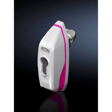 Rittal Mini-Komfortgriff AX poignée gris clair acier (1/2)