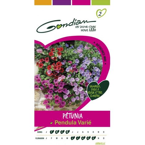 Gondian - Pétunia Pendula varié