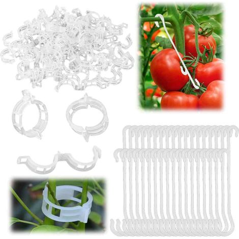 Supports pour plantes en plastique sécurisés, supportent les plantes grimpantes, résistants au vieillissement et imperméables, système de fixation rapide pour une utilisation facile. (1/5)