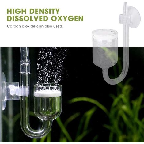 Diffuseur de CO2 - CHD - Verre transparent - Résistance à la corrosion - Bulles fines (1/4)
