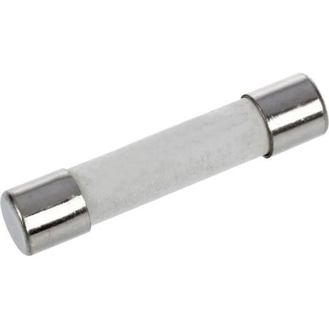 JEU DE FUSIBLES EN CÉRAMIQUE - 6.35 X 32 MM - 500 MA & 10 A - 1000V DVMFUSE2 (1/2)