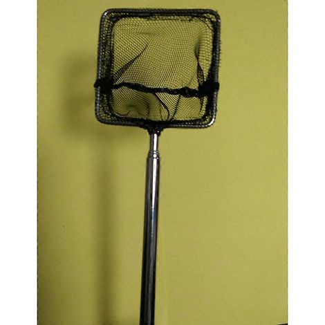Épuisette carrée extensible pour petits poissons betta (noire) pour aquariums, bassins et cages à crevettes. (1/2)