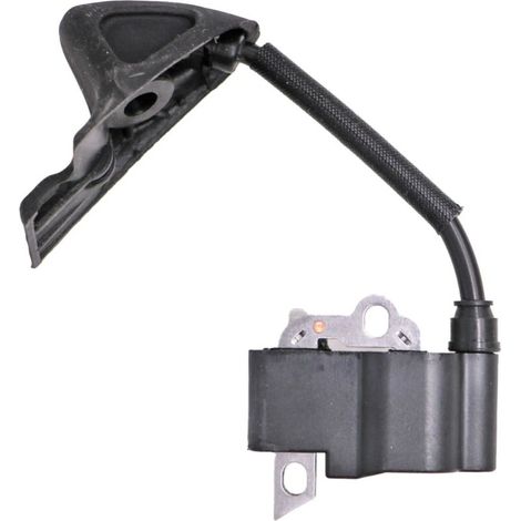 Bobine d'allumage BG56 BG86 BG86C Bobine d'allumage haute tension 4241 400 1306, bobine haute tension, convient aux sèche-cheveux STILE BG56/BG86, démarrage à froid en douceur.