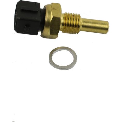 Sensore rapido di temperatura dell'acqua FT80052